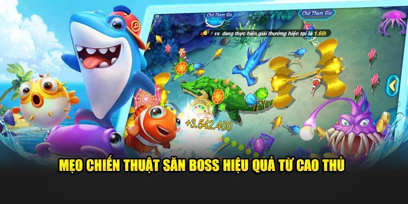 Mẹo chiến thuật săn boss hiệu quả từ cao thủ 